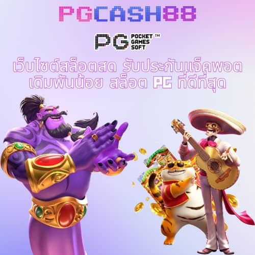pxj vip เข้าสู่ระบบ